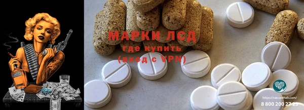 spice Алзамай
